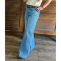 Pantalon Michelle Ferrar Con Brillos